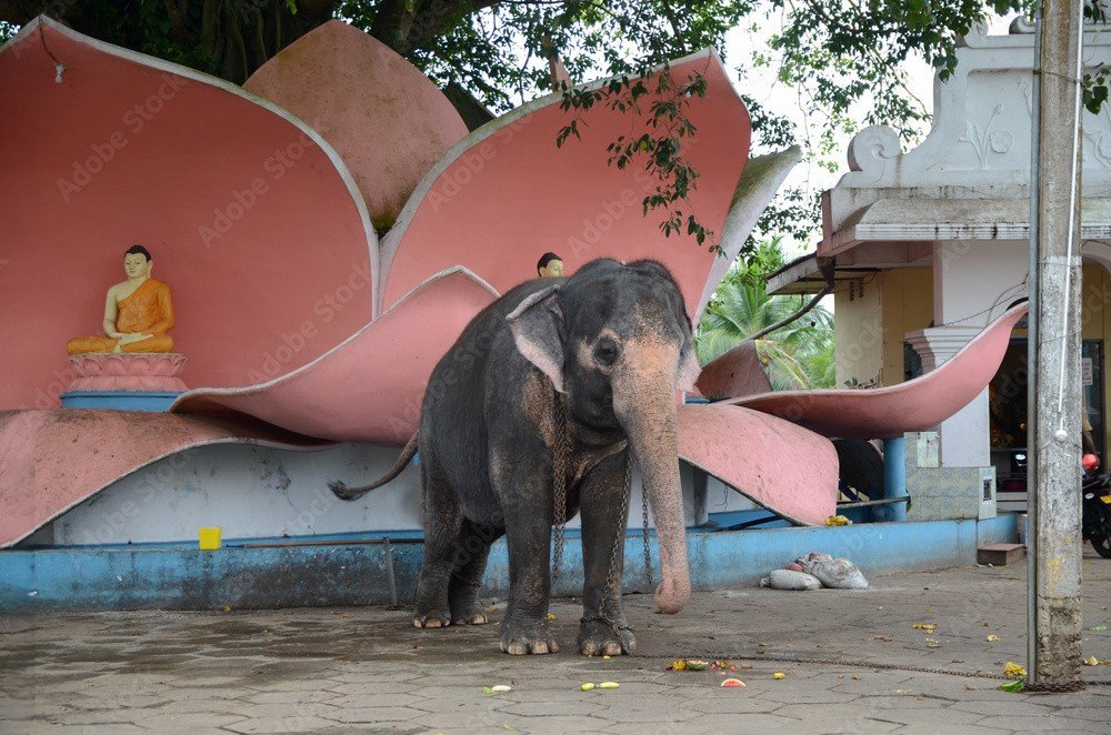 aluthgama, Sri Lanka